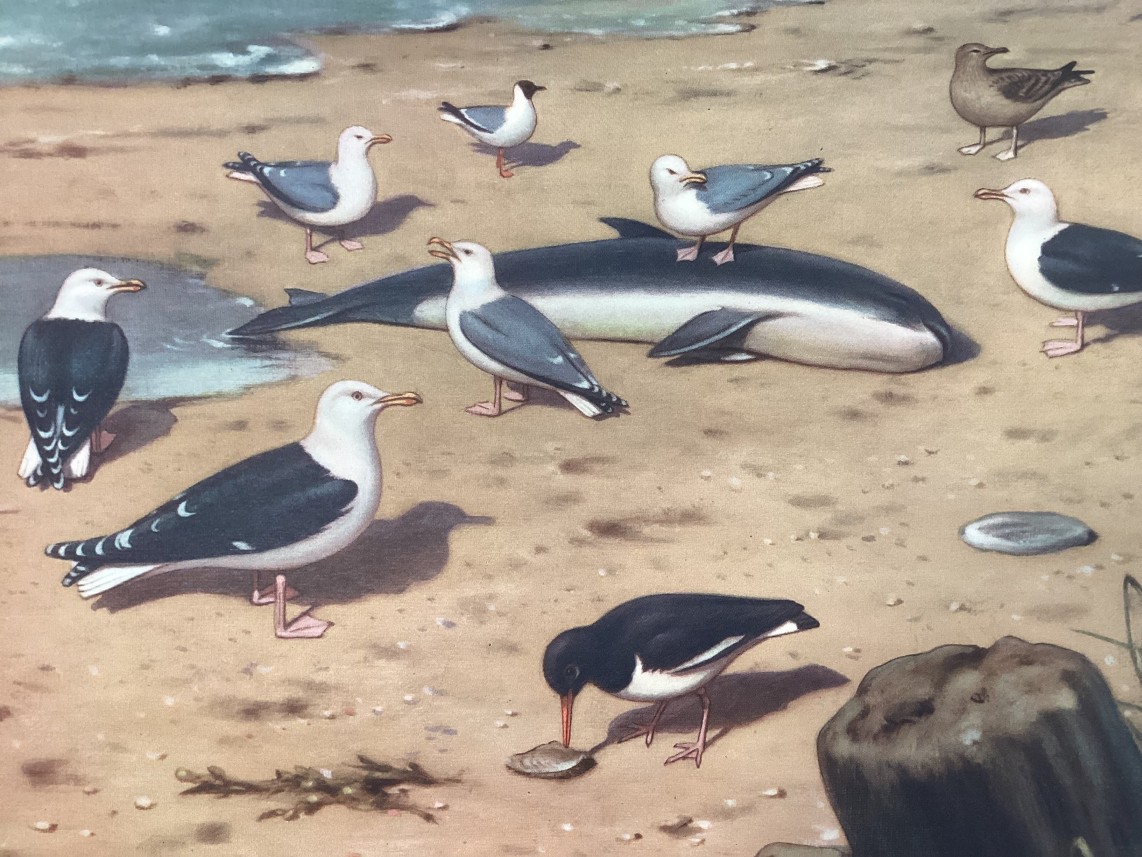 Wereldkaarten van Aan het strand detail2