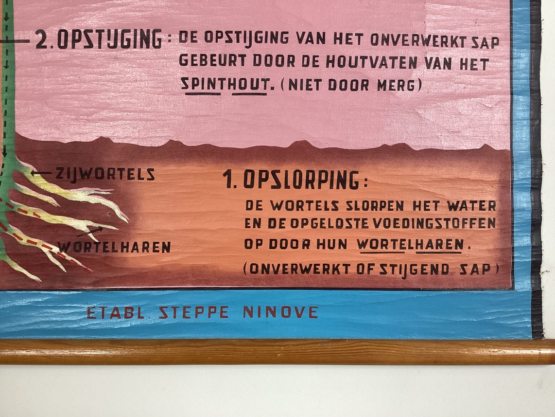 Schoolwandkaart van De voeding detail2