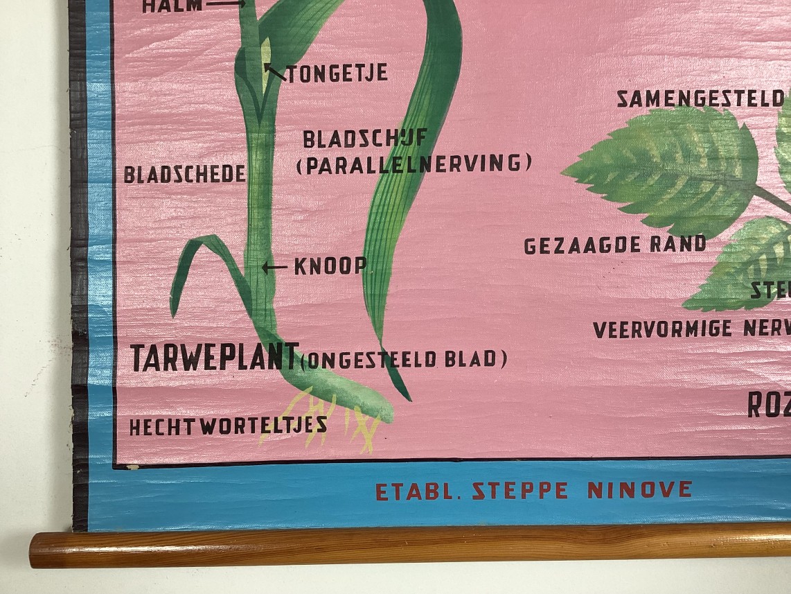 Schoolkaart van De bladeren detail2